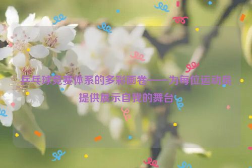 乒乓球竞赛体系的多彩画卷——为每位运动员提供展示自我的舞台