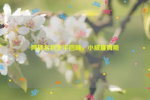 网球名将生平回顾，小威廉姆斯