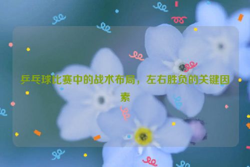 乒乓球比赛中的战术布局，左右胜负的关键因素